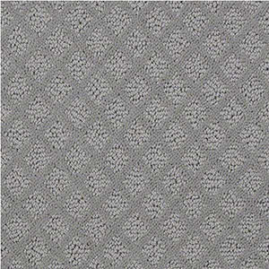 Carpet Flooring Sample